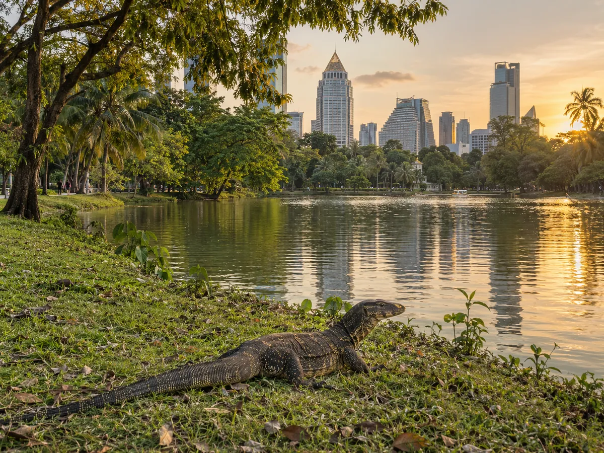 Lumpini Park’s lake with the towers of Ploenchit behind at golden hour