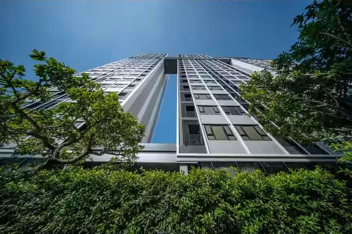 KnightsBridge Kaset - Society, photo 1